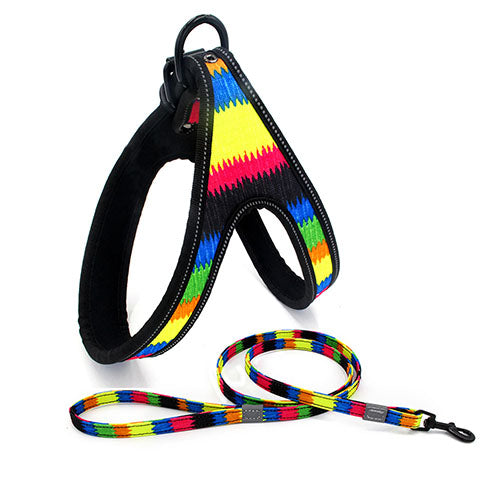 Tribal Design Dog Leash