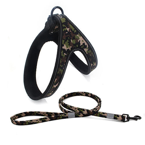 Tribal Design Dog Leash