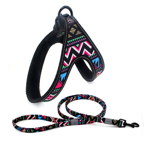 Tribal Design Dog Leash