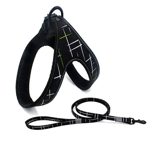 Tribal Design Dog Leash
